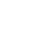 Funky Monkey